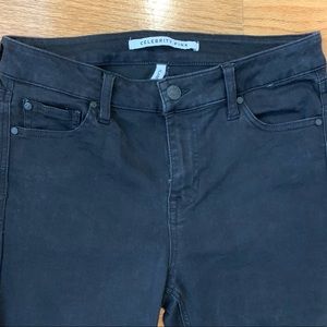 Celebrity Pink Black Flare jeans